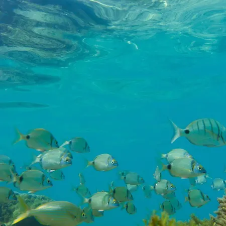 Tamaran House Hostel *