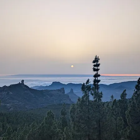 Hostel Tamaran House